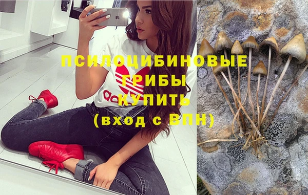 кристаллы Абаза