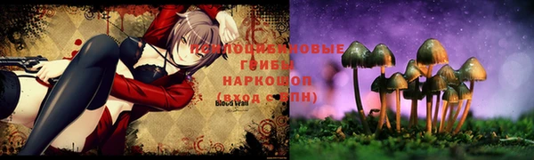 кристаллы Абаза